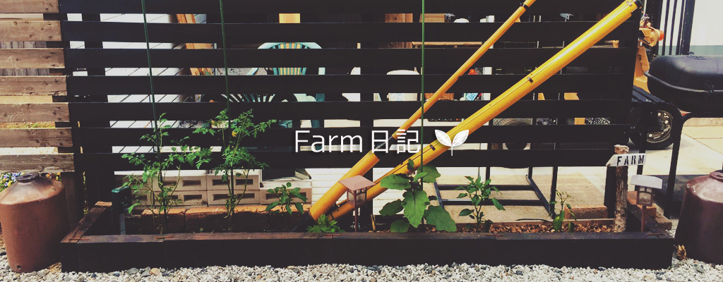DIYSTORE三鷹Farm日記